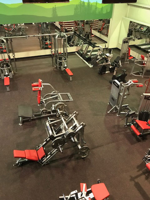 Panoramic interior view of modern equipment in the gym