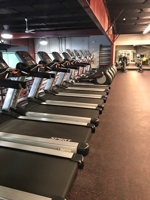 treadmills row in the gym